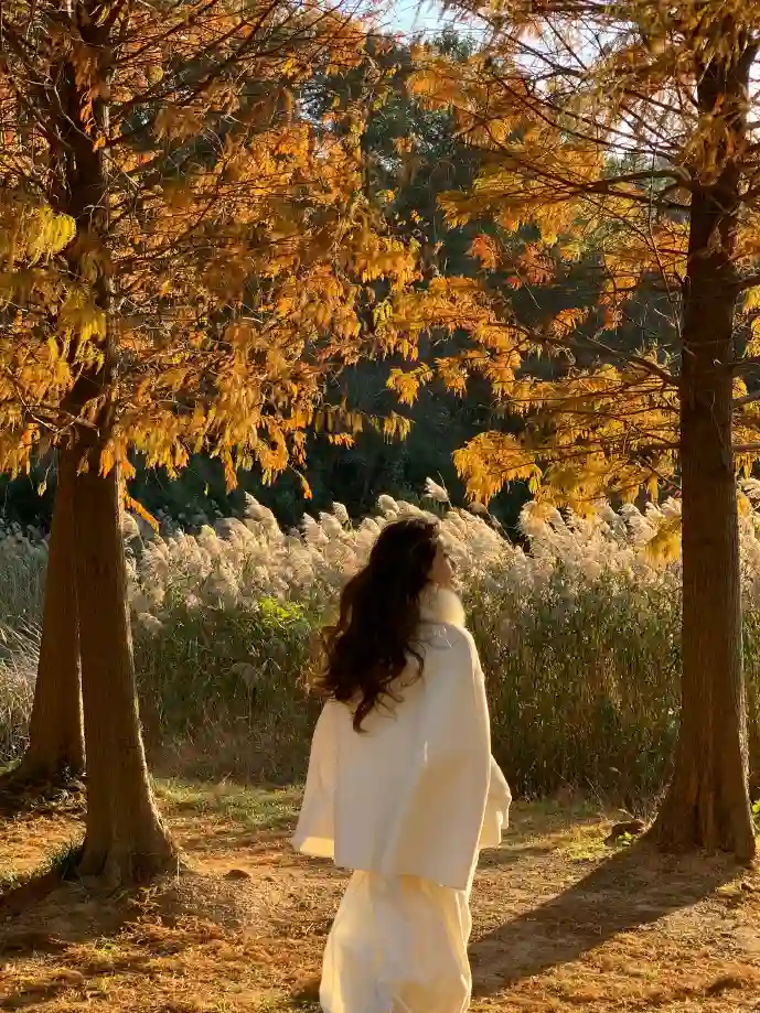 大团结小说下载数据分析